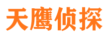 宁都侦探公司